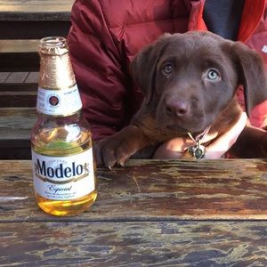 Meet your Posher, Matt